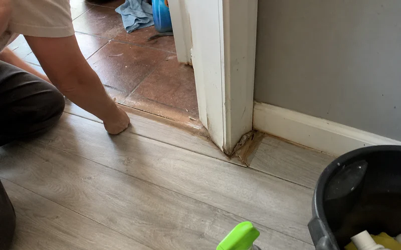 Water-damaged laminate near doorway