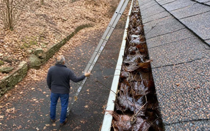 Deep pile of wet leaves and twigs in a clogged gutter